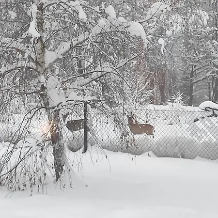 Pod Brzozami 2 شاليه