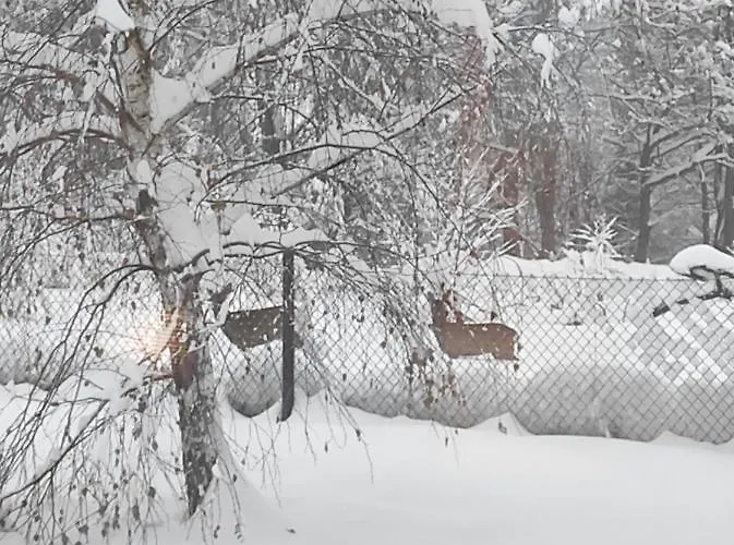 Pod Brzozami 2 Chalet